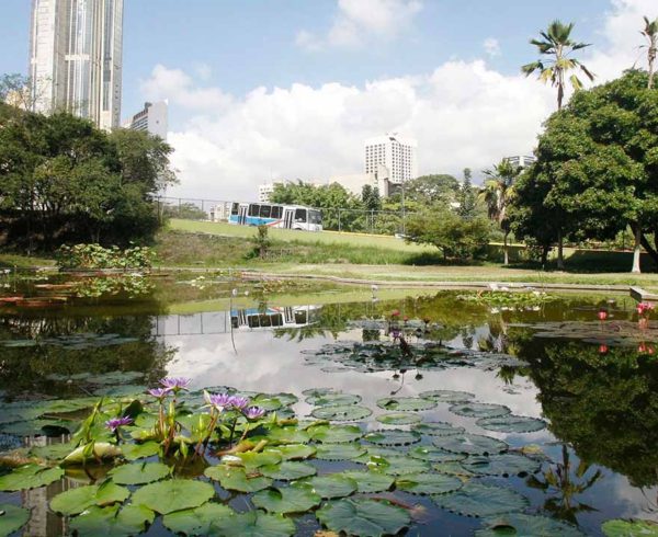 Yammine-Fundacion-Jardin-Botanico