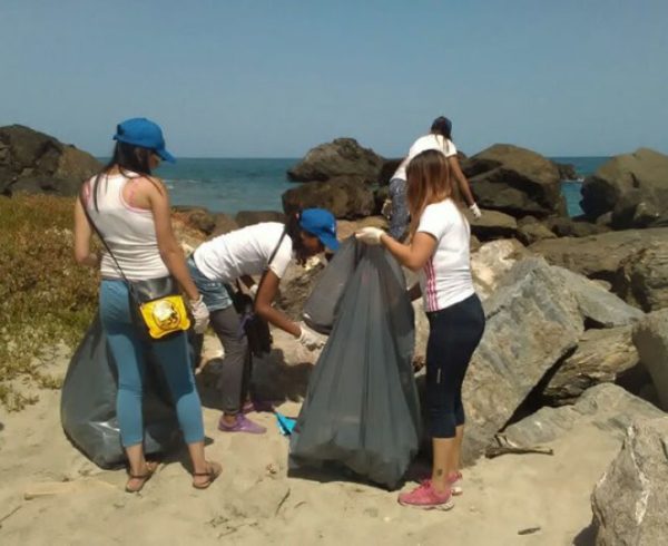 Yammine-Limpieza-Vargas-2