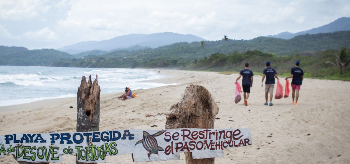 JornadaLimpiezaDePlayas 5 e1560536484366 1200x565 - Con una jornada de limpieza en la costa varguense, se celebró el  Día de los Océanos
