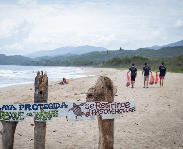 JornadaLimpiezaDePlayas 5 e1560536484366 600x490 - Con una jornada de limpieza en la costa varguense, se celebró el  Día de los Océanos